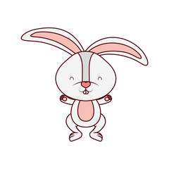 cute rabbit isolated icon