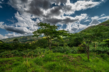 Beautiful landscape in southwestern Uganda, at the Bwindi Impenetrable Forest National Park, at the borders of Uganda, Congo and Rwanda. The Bwindi National Park is the home of the mountain gorillas