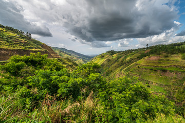 Beautiful landscape in southwestern Uganda, at the Bwindi Impenetrable Forest National Park, at the...