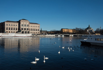 Obraz premium An early sunny spring day in Stockholm, birds and ice drifting on flow of meltwater