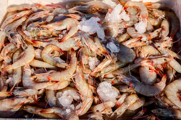 Fresh shrimp on Ice at outdoor fish flea market