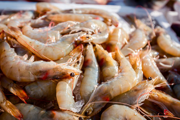 Fresh shrimp on Ice at outdoor fish flea market