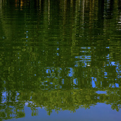 Water surface of the lake in the park