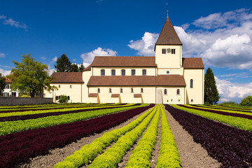 Fototapeta na wymiar Kirche Sankt Georg in Oberzell auf der Insel Reichenau im Bodensee