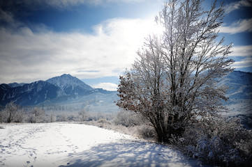 winter in the mountains