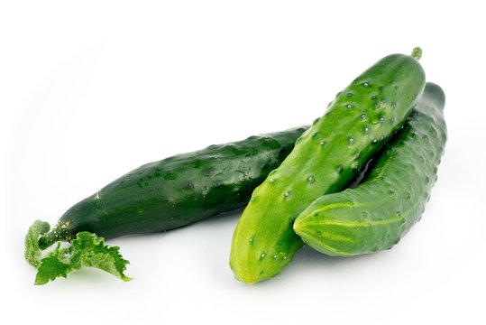 Gurke Tanja
