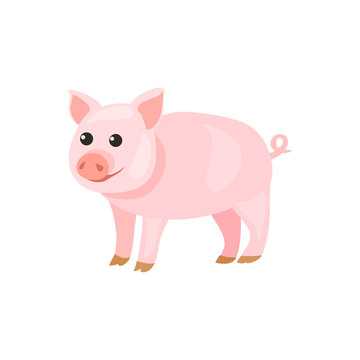pig cartoon isolated