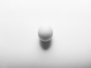 egg on white background