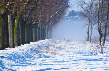 Muro di nebbia