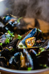 moules