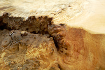 Holzstruktur