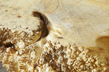 Holzstruktur