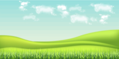 Fototapeta na wymiar Green field and sky background Vector realistic. detailed 3d illustrations