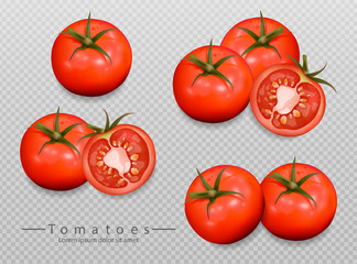 Tomatoes isolated Vector realistic. Detailed 3d illustration template for label, icon, product placements