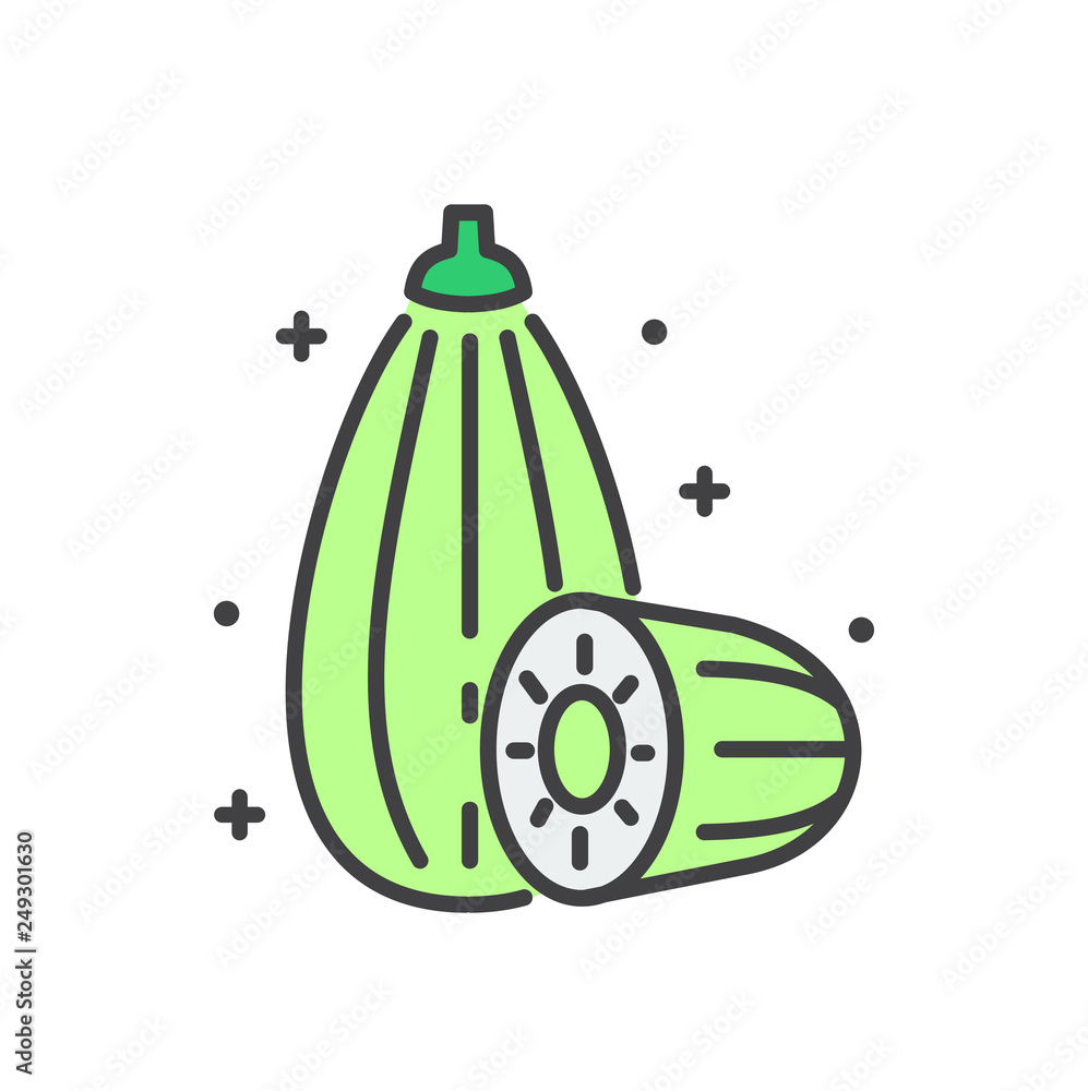 Poster zucchini line icon on white background for graphic and web design, modern simple vector sign. intern