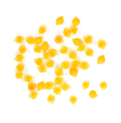 macaroni pasta on white background