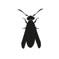 Silhouette of a wasp