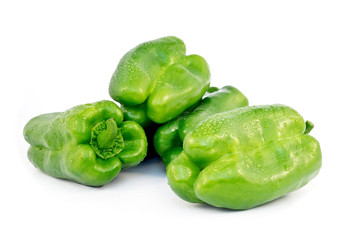 Paprika Neusiedler