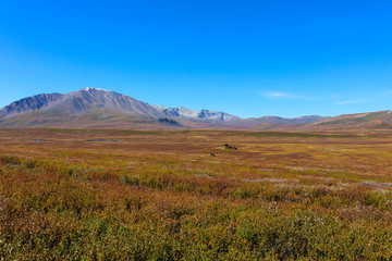 Autumn steppe and mountains in the distance