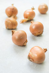 onions on stone background