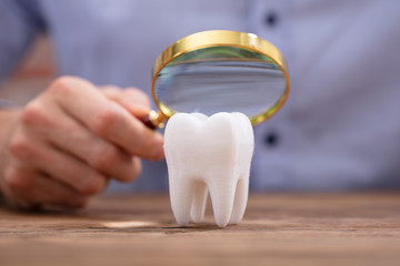 Person Holding Magnifying Glass Over The White Tooth