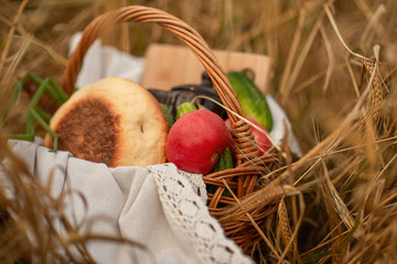 basket with vegetables in nature