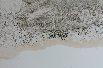 Black mold on a white wall in the house.