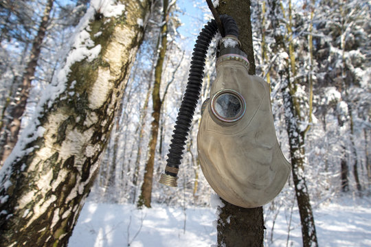 Gas mask