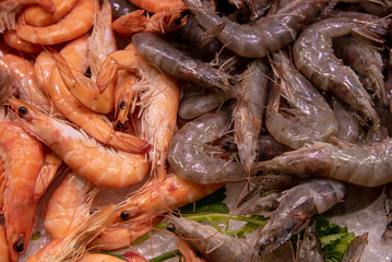 resh, delicious, tasting and healthy shrimps on ice ready to be cooked
