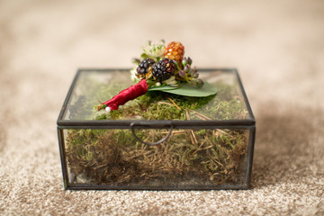 Luxury box with moss and wedding rings
