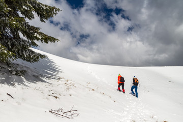 Fototapeta na wymiar Two women hikers climbing towards the top of a snowy ridge in Bucegi mountains, Romania, passing by a green tree branch on their way up, during a Winter trekking adventure