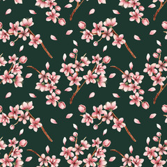 Cherry blossom,spring flowers,watercolor illustration,branches, flowers,handmade,card for you,seamless pattern,dark background