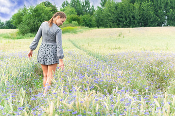 Unity with nature, walk on a cornflower field