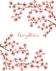 Cherry blossom,spring flowers watercolor illustration,branches, flowers,card for you,handmade