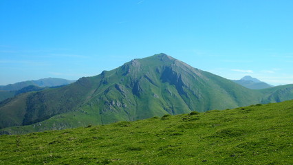 Fototapeta premium zielone pola