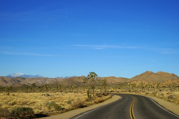 A road through Joshua Tree National Park with Quali Mountain top seen at the distance