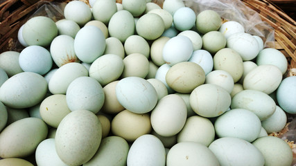 A close-up of the eggs
