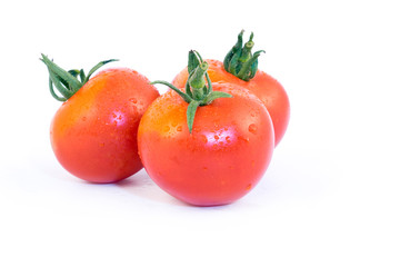 Tomate Harzfeuer