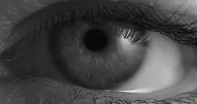 Close up Macro black and white eye eyeball lashes