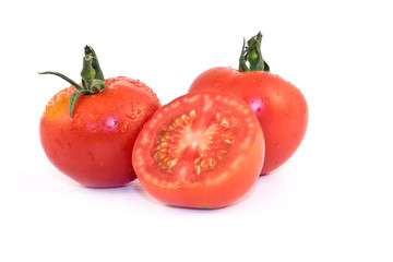 Tomate Harzfeuer