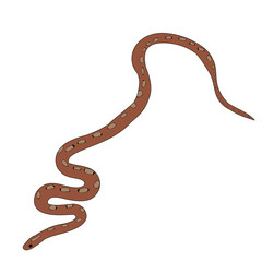 vector, isolated, snake, on a white background, flat style snakes