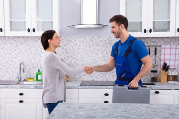Fototapeta premium Plumber Shaking Hands With Woman