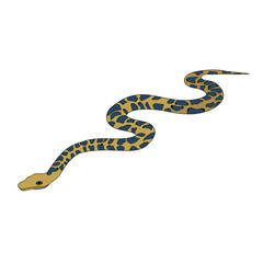  isolated, snake, on a white background, flat style snakes