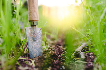 Gardening shovel in an orchard during the gardener's rest