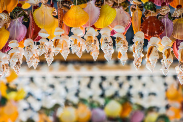 Home Decoration Items from Shell 26
