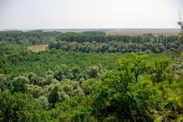 Steppe with forest and river