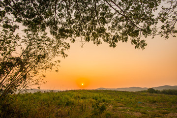 Obraz premium Thailand is an agricultural country.14