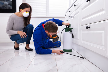 Pest Control Worker Spraying Pesticide On Wooden Cabinet