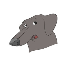 dog portrait profile, dachshund, look down