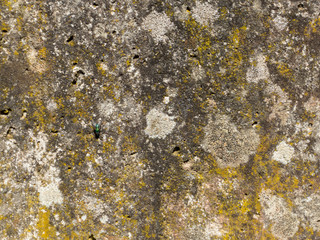 Texture of concrete wall